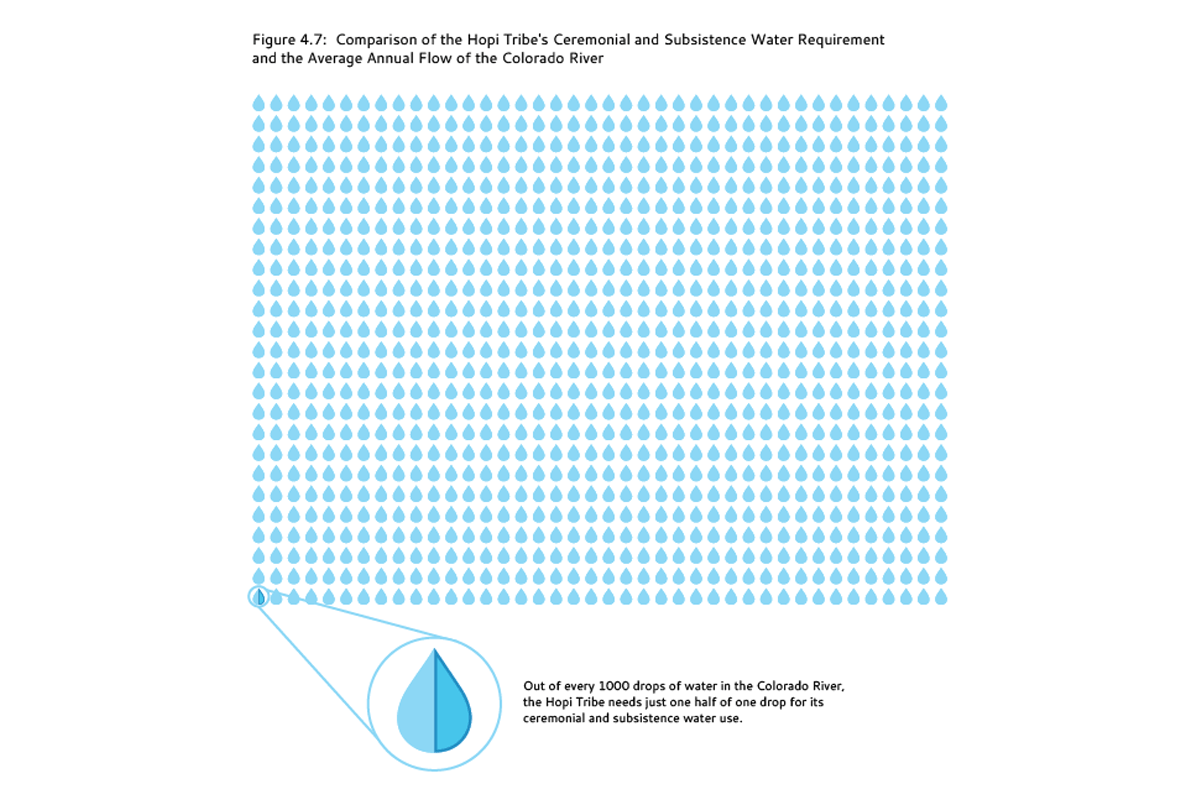 Water Privatization diagram infographic